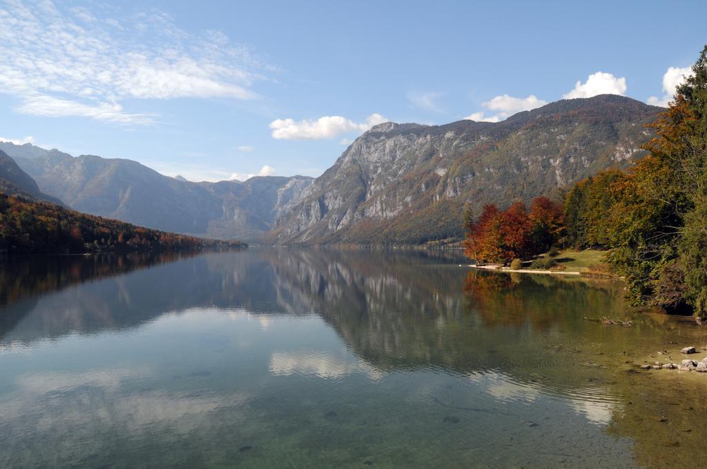 Apartment Dijak Bohinj Dış mekan fotoğraf