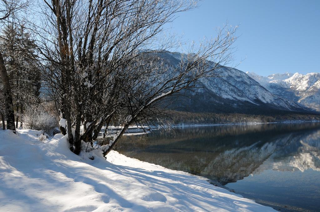 Apartment Dijak Bohinj Dış mekan fotoğraf