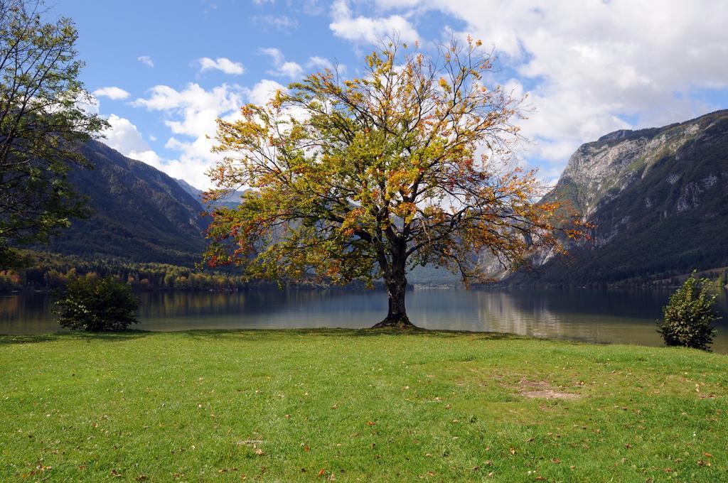 Apartment Dijak Bohinj Dış mekan fotoğraf