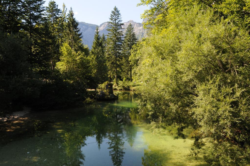 Apartment Dijak Bohinj Dış mekan fotoğraf