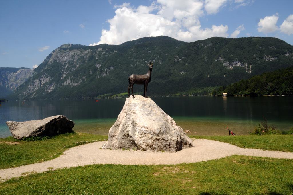 Apartment Dijak Bohinj Dış mekan fotoğraf