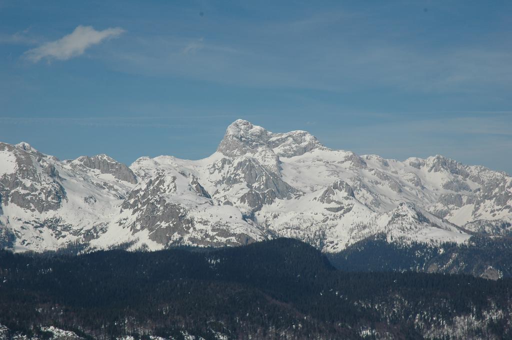 Apartment Dijak Bohinj Dış mekan fotoğraf