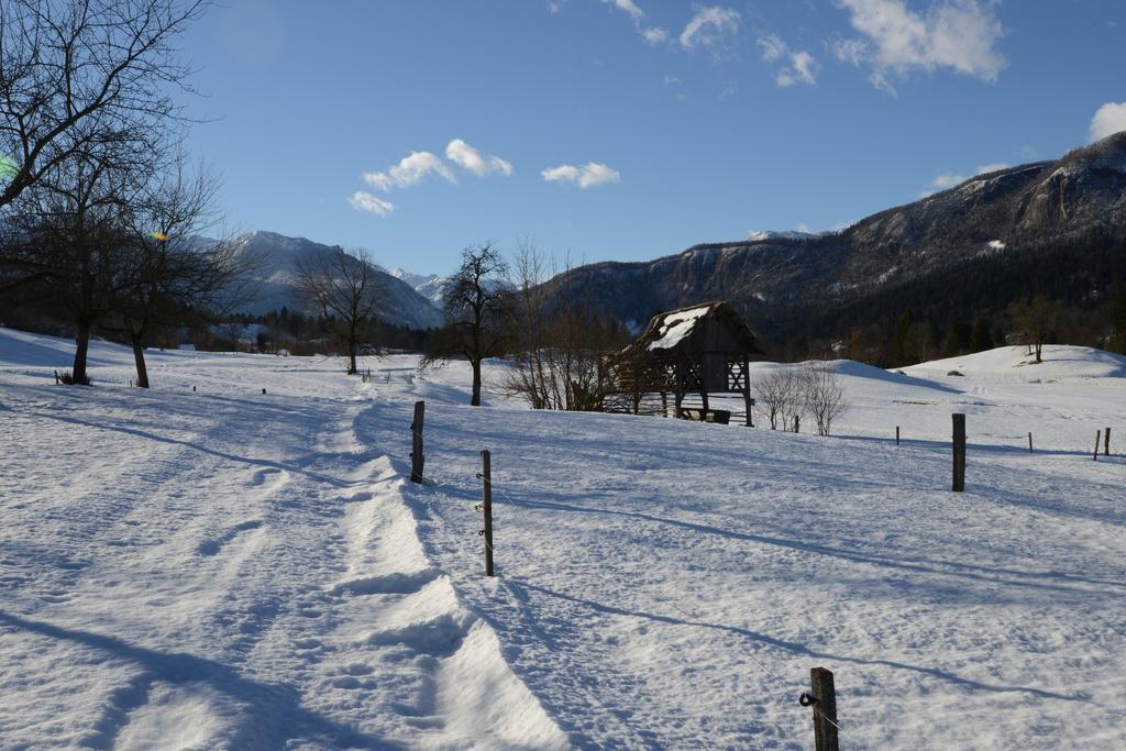 Apartment Dijak Bohinj Dış mekan fotoğraf