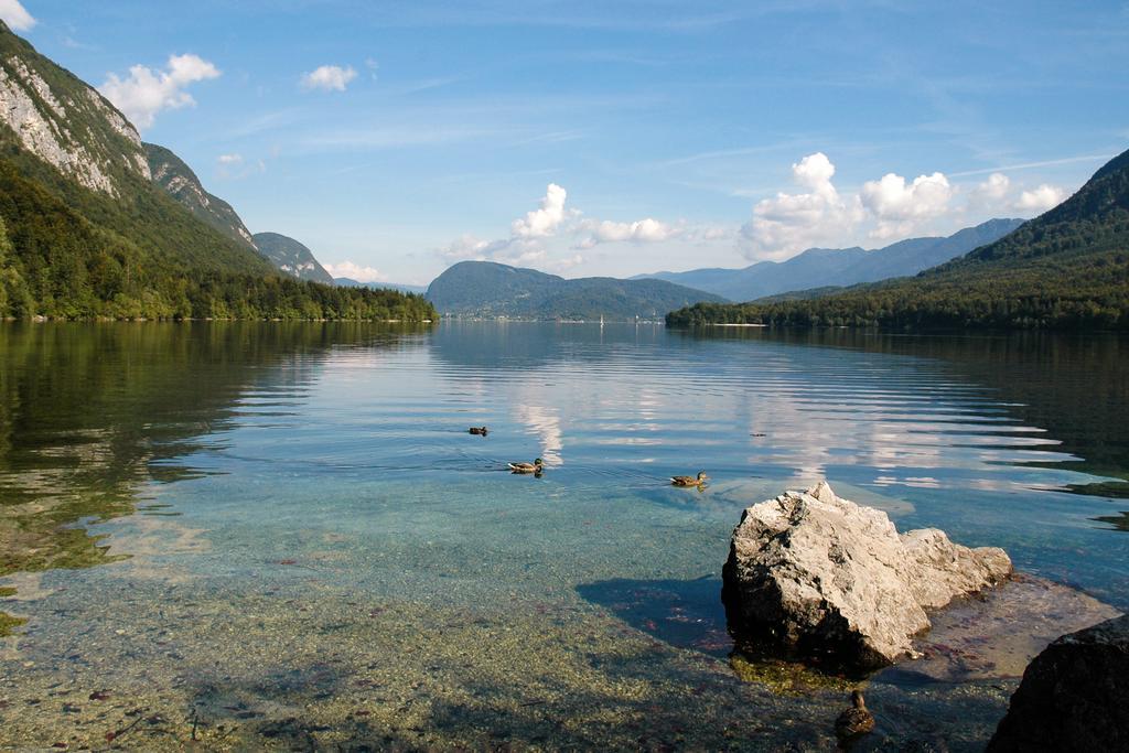 Apartment Dijak Bohinj Dış mekan fotoğraf